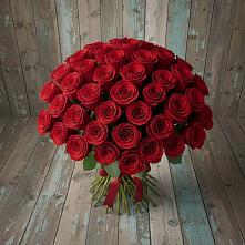 Букет 55 Красных роз Фридом #REPLACE_PRED# Мегете