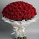 Букет 101 Красная роза Блэк Мэджик в Мегете