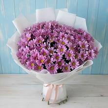 Букет цветов из:  Хризантемы в Мегете