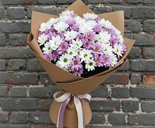 Букет цветов из:  Хризантемы в Мегете