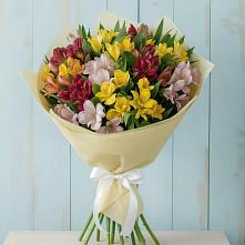 Букет цветов из:  Альстромерии в Мегете