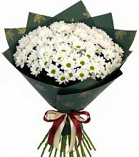 Букет цветов из:  Хризантемы в Мегете