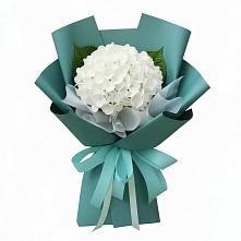 Букет цветов из:  Гортензия в Мегете